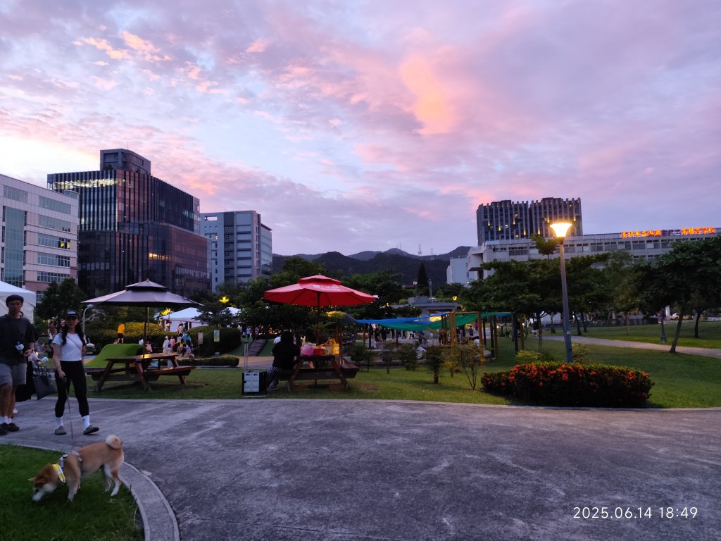 內湖大港墘公園 - 星展新加坡永續嘉年華_2812108