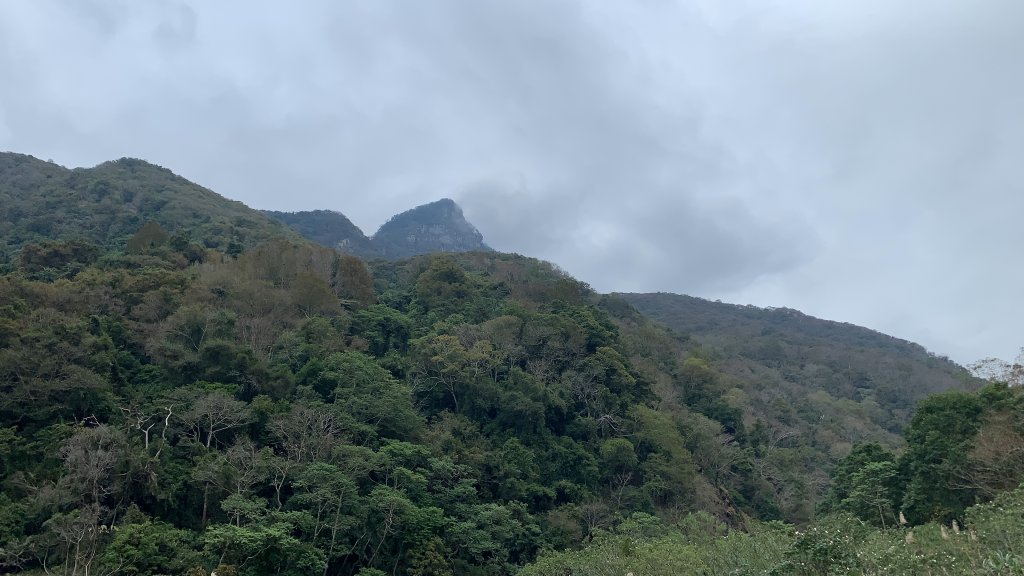 【中級山】明知山沒虎，偏向虎山行_2441969