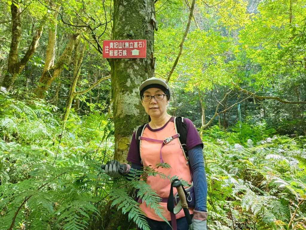 貴妃那結P 型縱走1131012_2621922