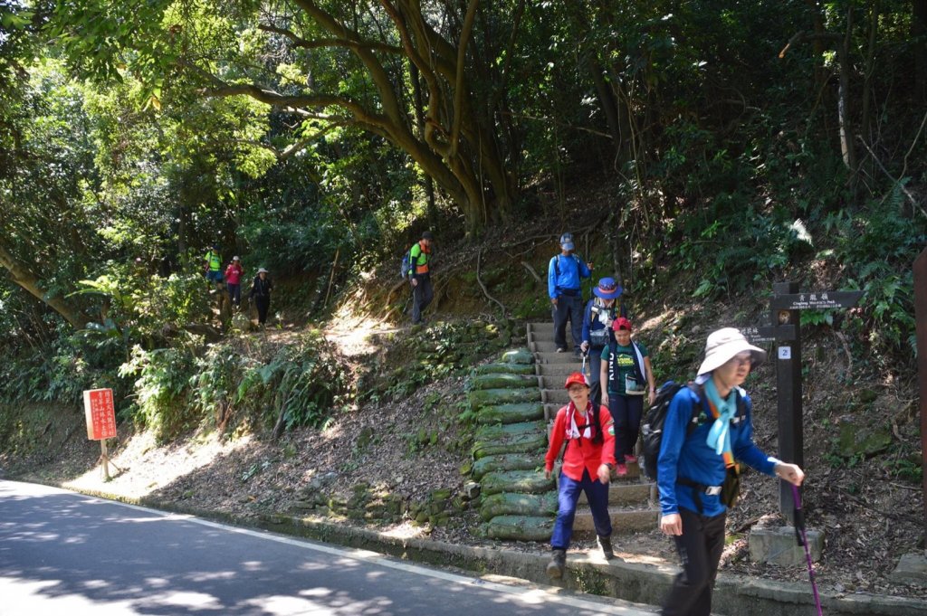 三角埔頂山，青龍嶺，大棟山_1091225