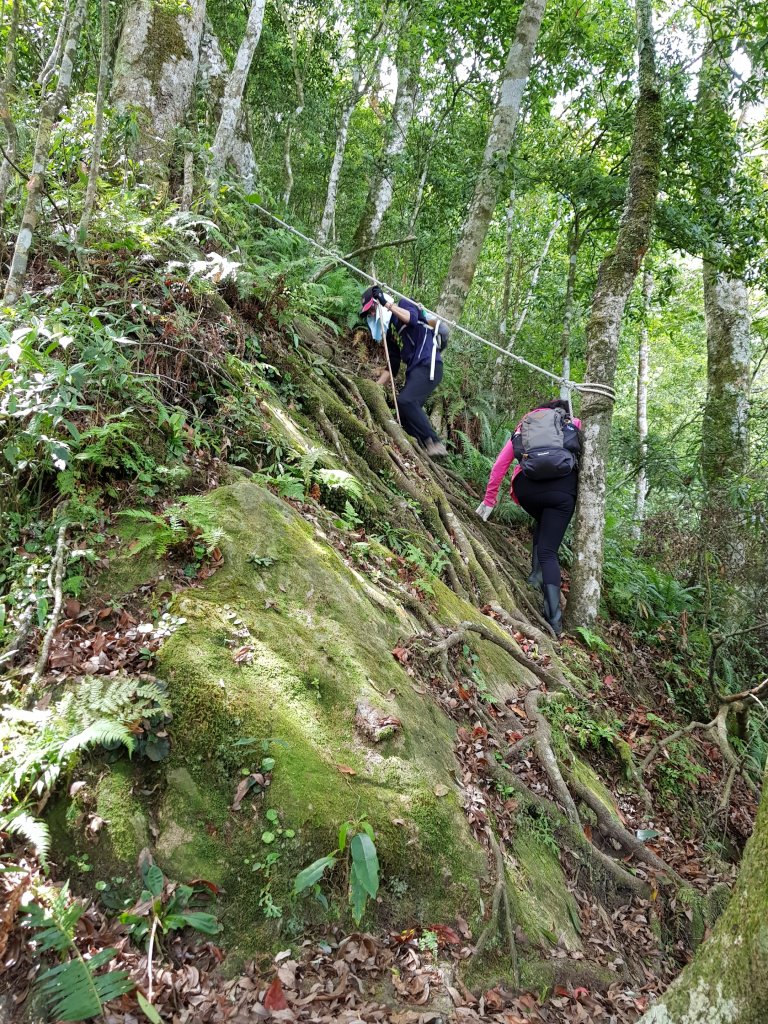 復興三尖之那結山_1423076