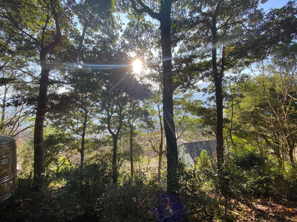 033仙山(神仙縱走）_2604264