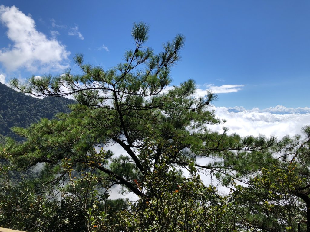 鳶嘴稍來國家步道季秋縱走_1144439