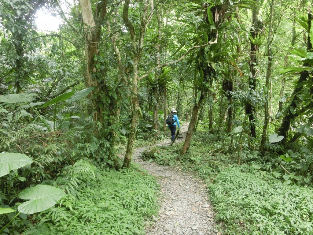 松羅國家步道_374141
