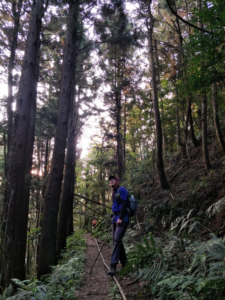 2019 03 28 哈加縱走_553953