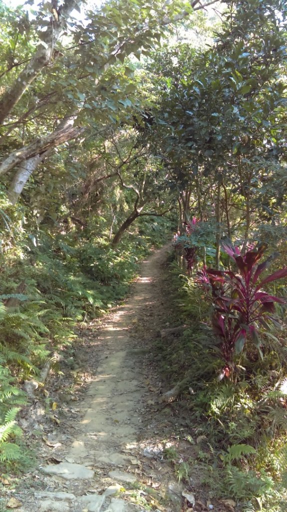 【臺北大縱走6】富陽公園、福州山、中埔山_713557