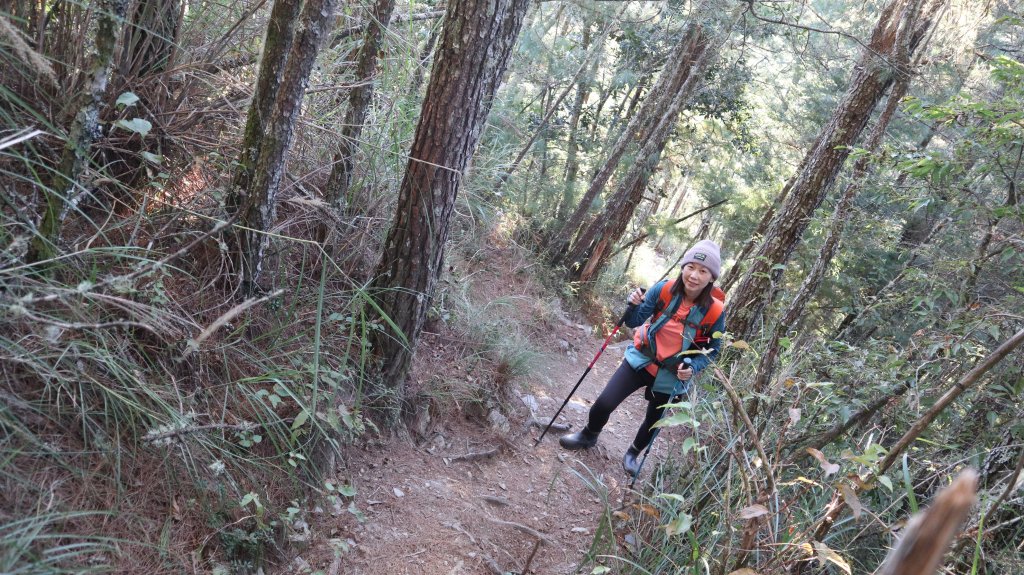 志佳陽大山登山健行趣(百岳47號)_1922460