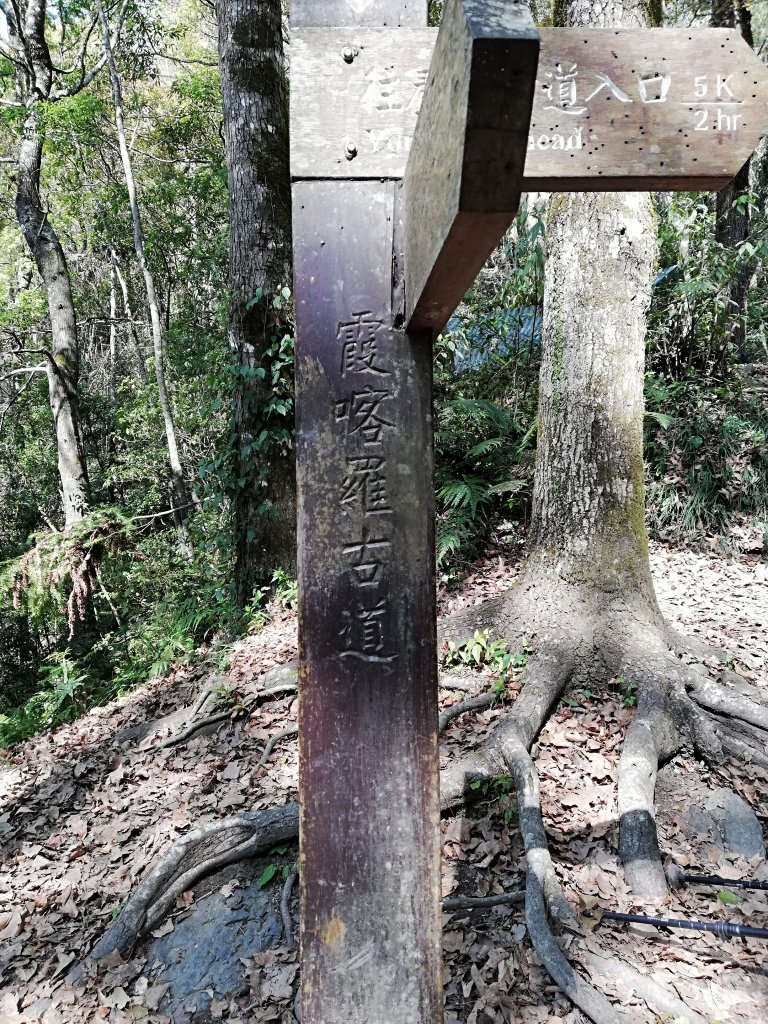 再戰霞喀羅國家步道，養老登山口↹白石吊橋_538011