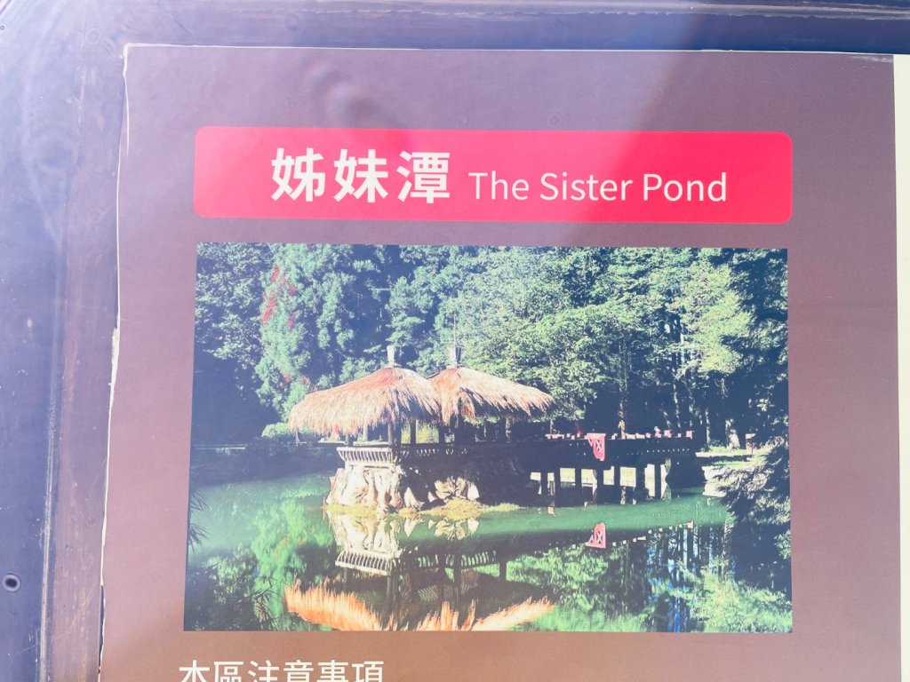 20251209 阿里山-小笠原觀景平台、祝山觀日步道_2959846