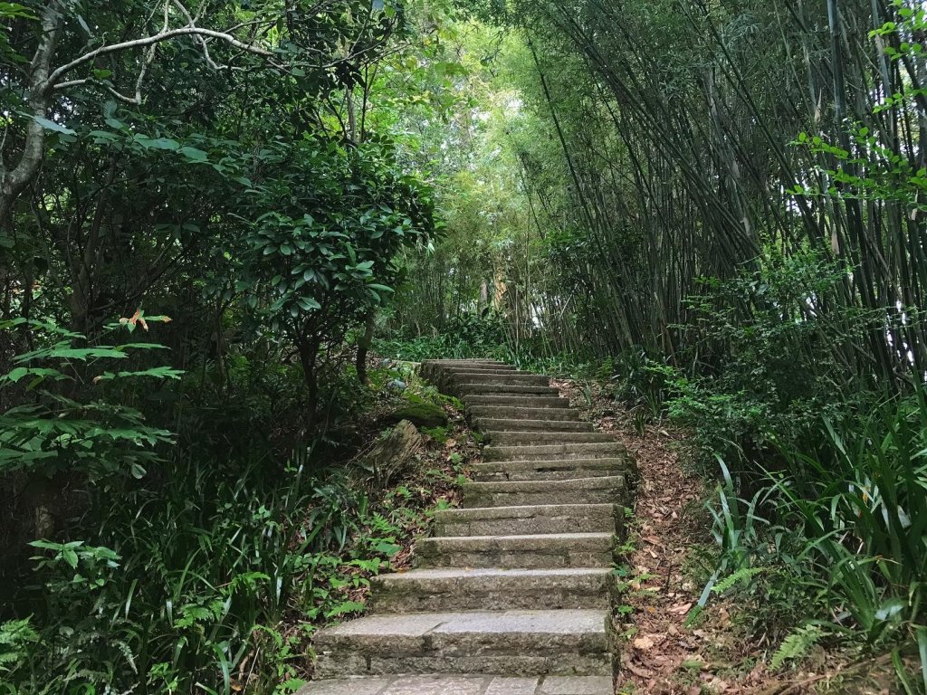 仙跡岩登山步道封面圖