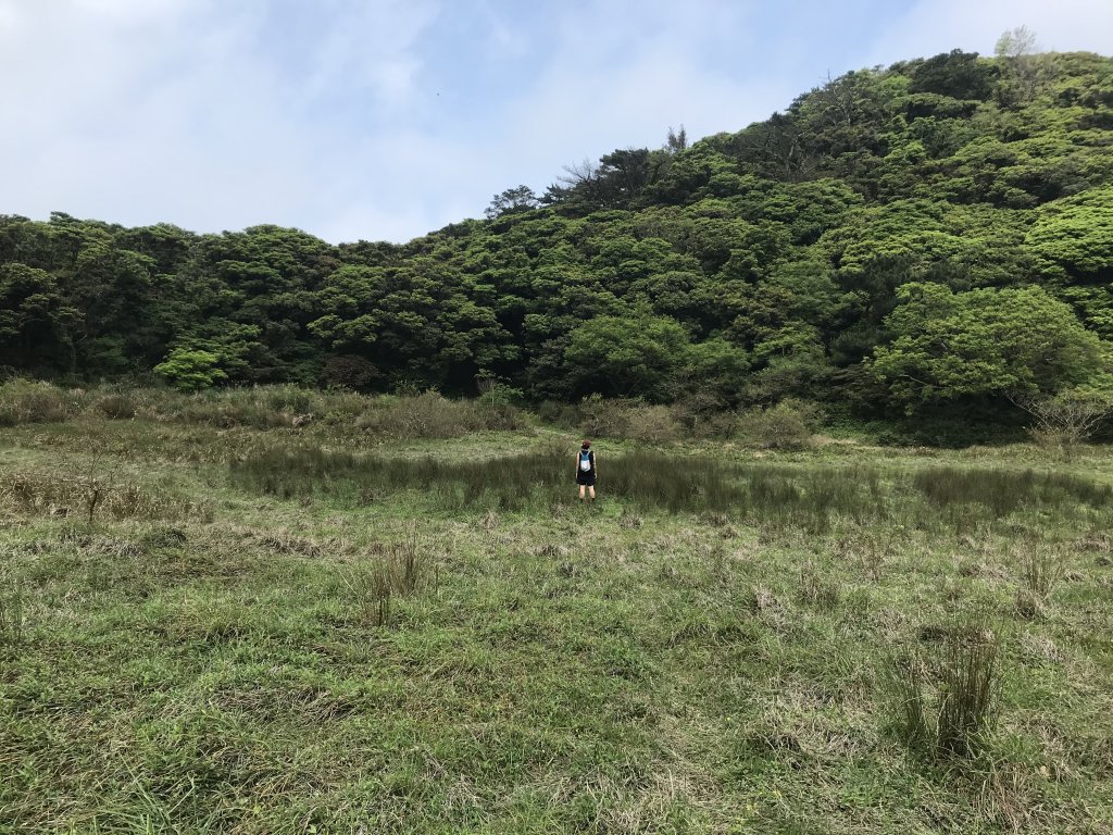 面天山、向天山步道封面圖