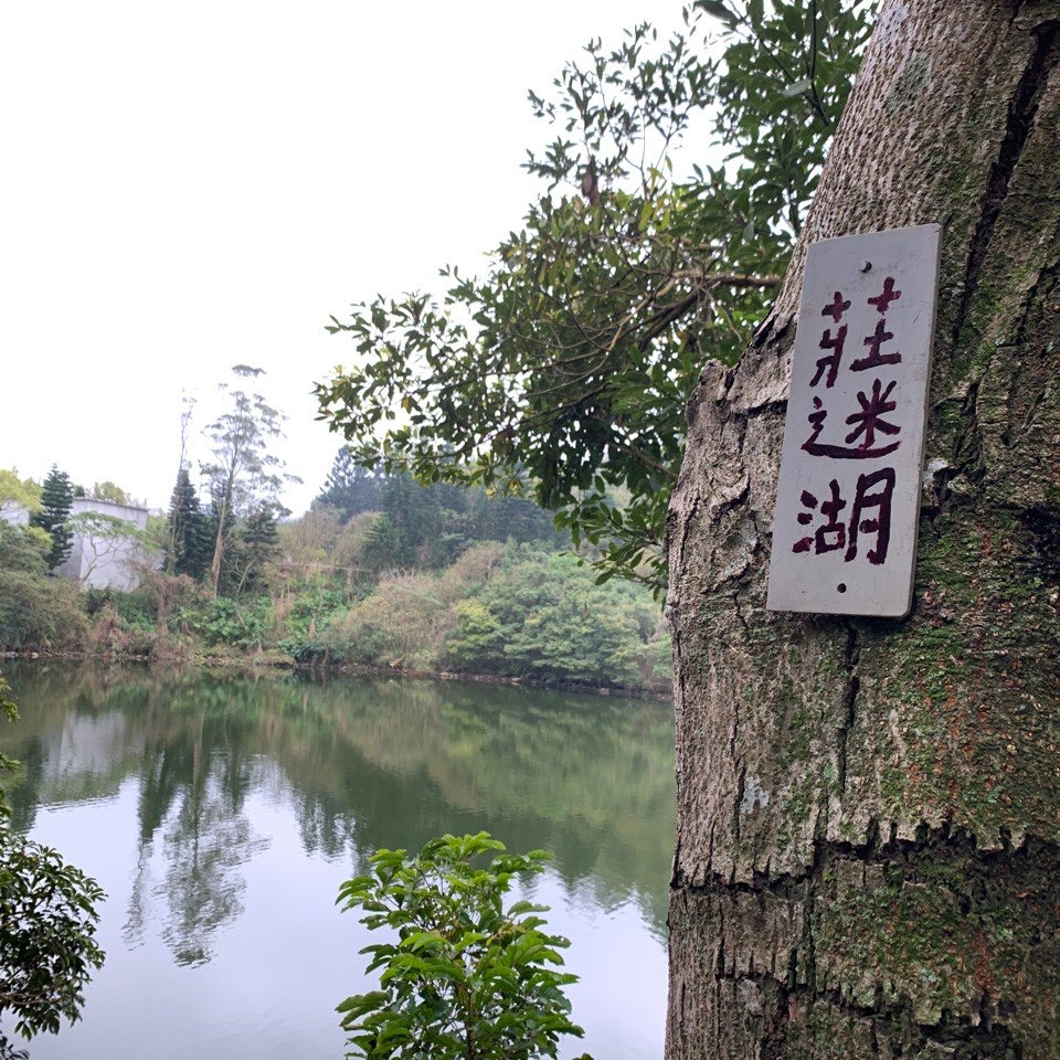 福人登山步道縱走大北坑_2063373
