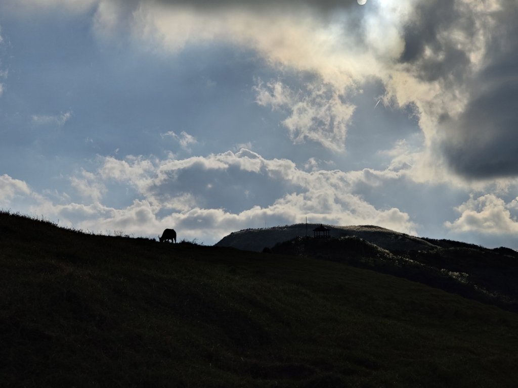 2023.11.23 桃源谷內寮線登灣坑頭山_2503663