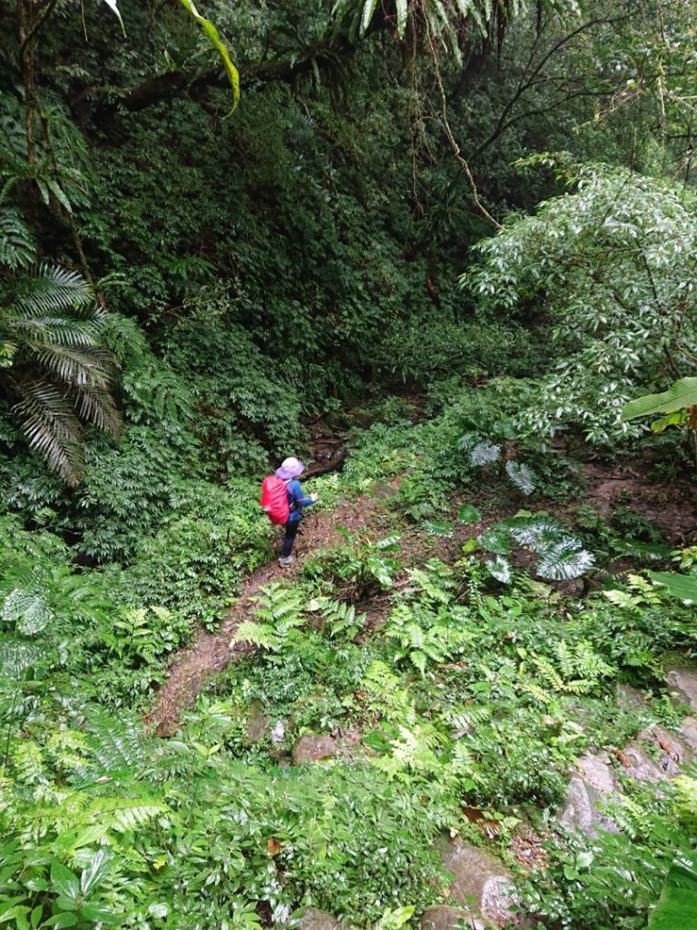 枋山坑古道_1576876