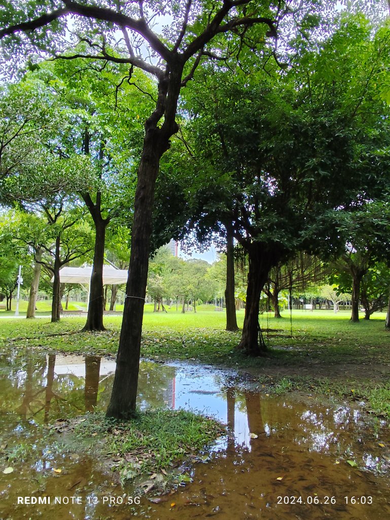 大安森林公園【走路趣尋寶】【臺北健走趣】_2536263