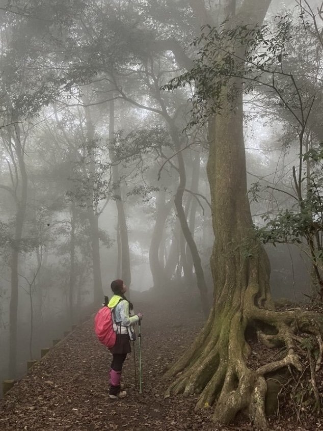 苗栗/馬那細道邦山-烏嘎彥竹林-水雲三星-鳥嘴山_2927146