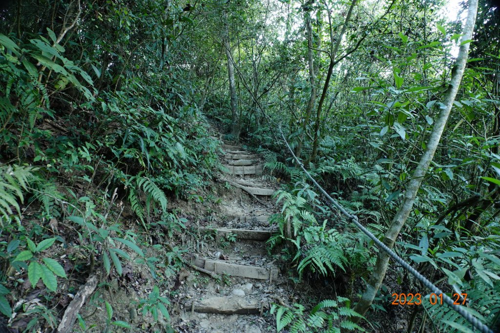 屏東 來義 棚集山、棚集下山_2019497