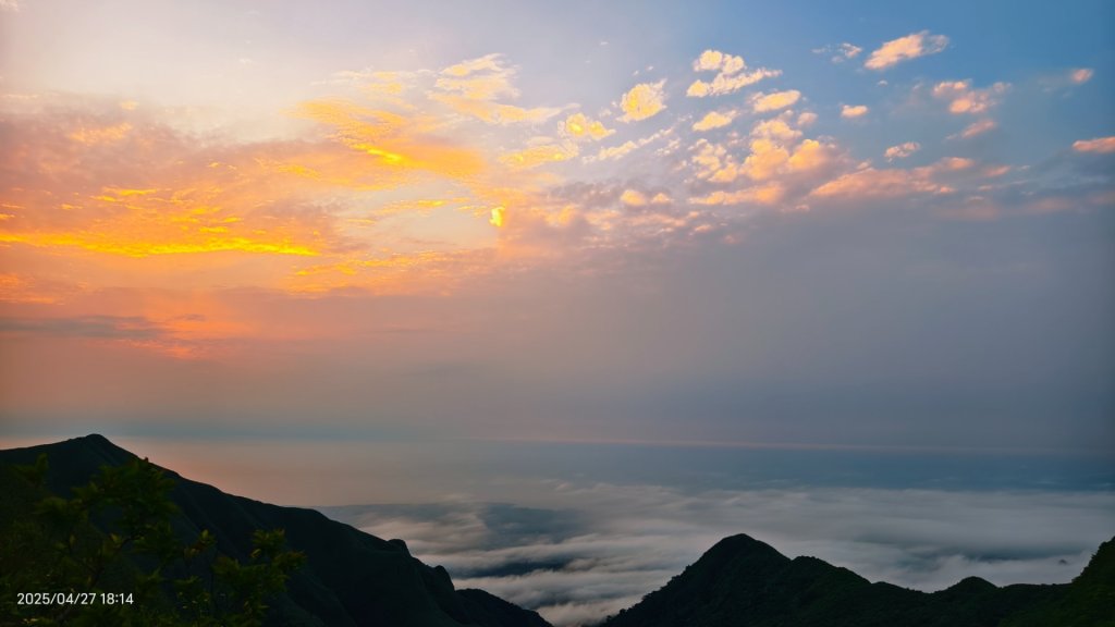 陽明山趴趴走 #琉璃光雲海 ，首拍 #綠鳩 4/27_2772188