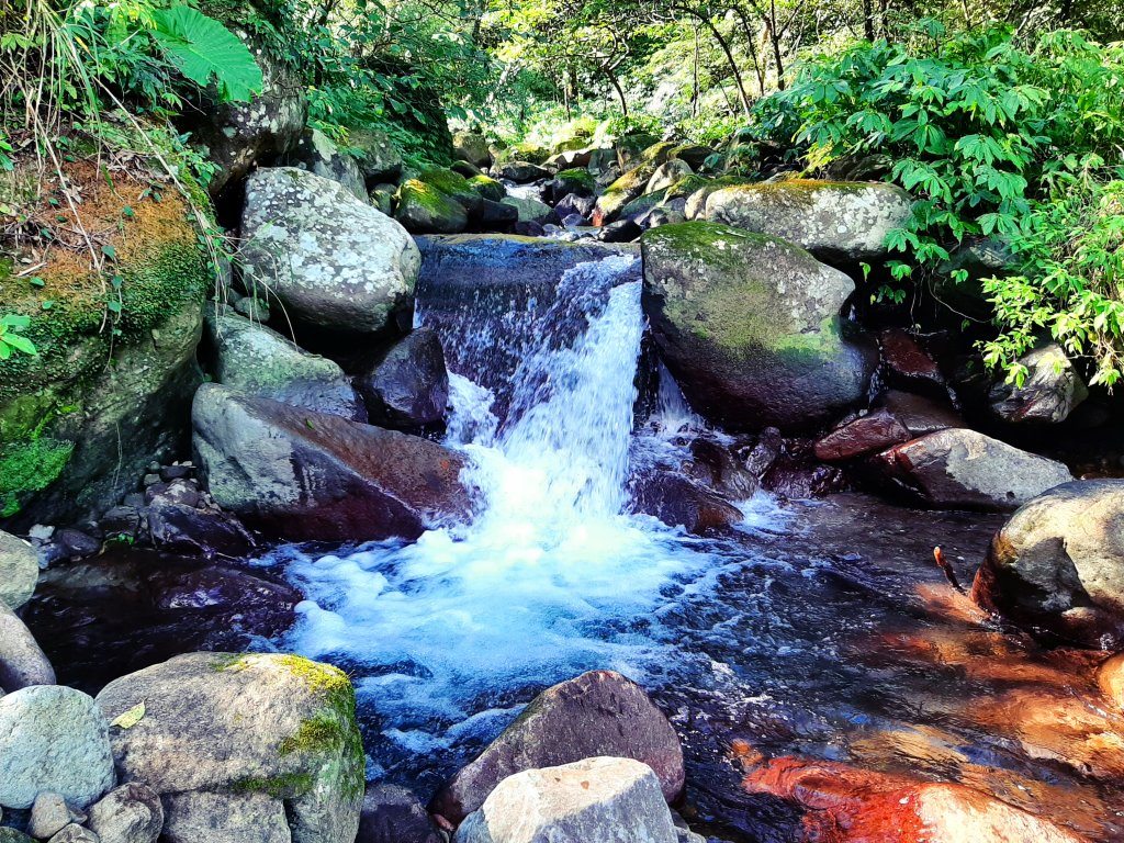 陽明山神秘綠境 • 鹿角坑保護區_2038665