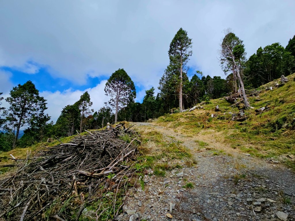 三星山-小百岳#85-宜蘭縣大同鄉封面圖