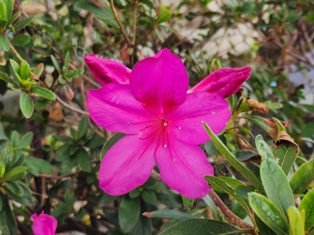 竹北｜澎湖窟步道_2630113