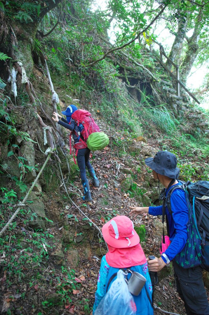 慢行霞喀羅(石鹿-霞喀羅大山-養老)_700354