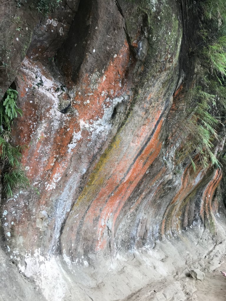 2020.1.18 鳶山連走_820819