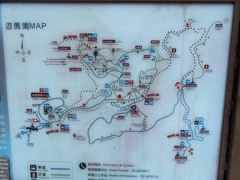 阿里山水山療癒步道封面圖