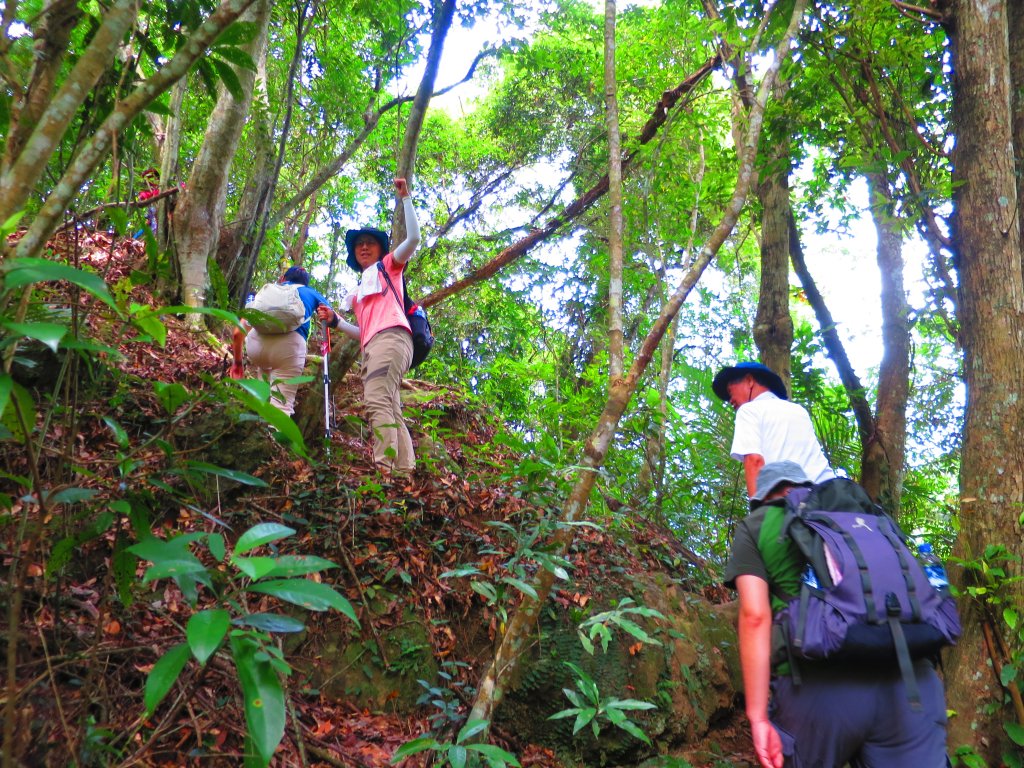 【新竹關西】登赤柯山 小關西_1190556