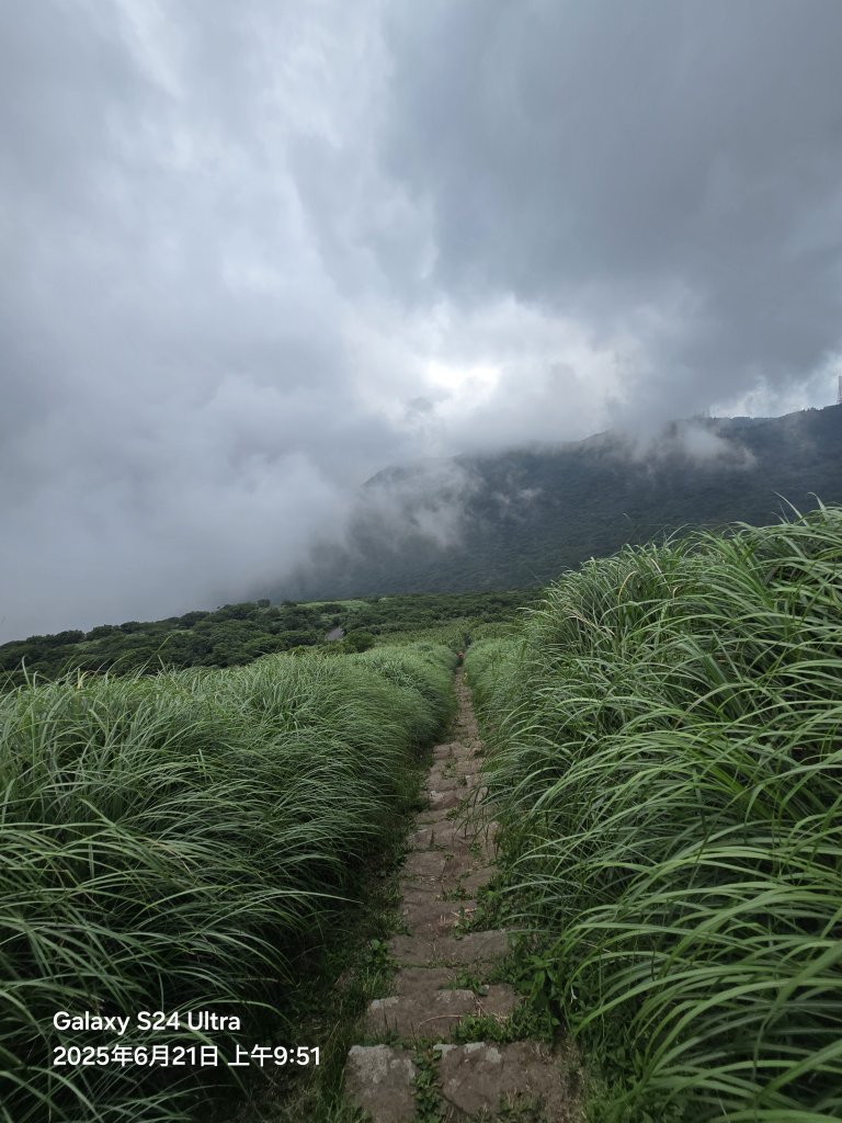 2025-06-21臺北大縱走第二段：二子坪至小油坑_2821047