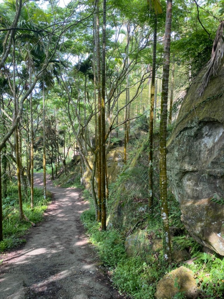 雞籠山.大凍山_937401