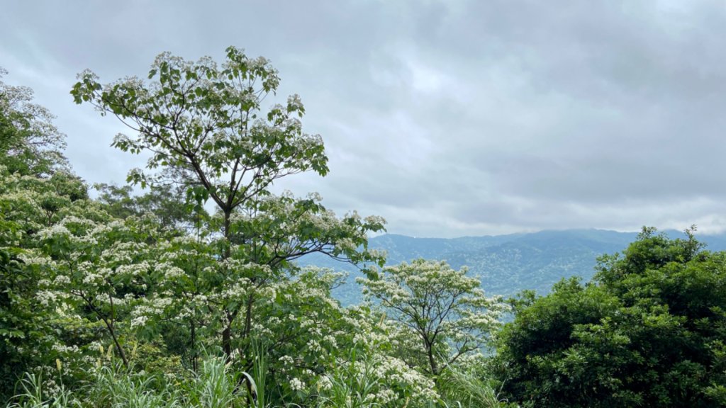 環台北天地線第十段—三峽至新店_1695602