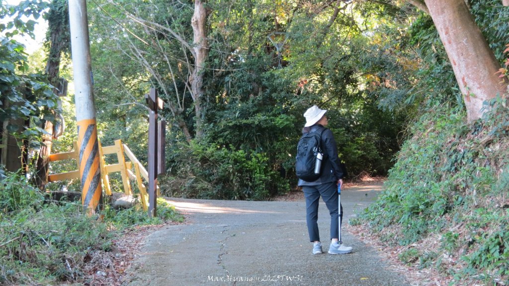 《台中》落雨松季｜石岡挑物古道O繞下情人木橋20250112_2687628