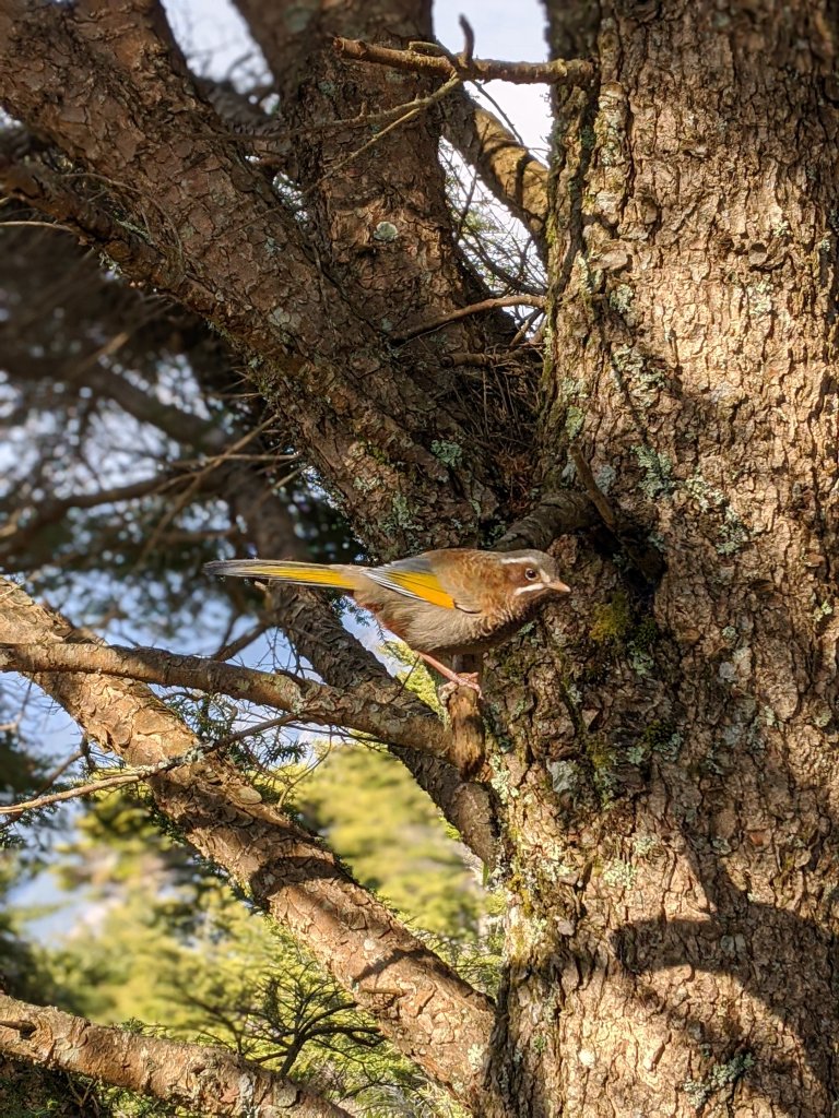 石瀑天梯 玉山前峰 _870864