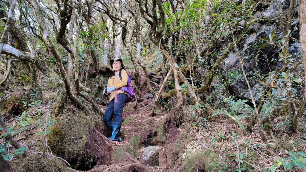 肥大醜三崠連走，鳶嘴西陵上鳶嘴山_2650369