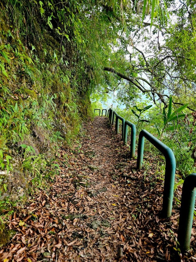 瓦拉米步道(登山口至佳心段)-(花蓮)臺灣百大必訪步道_2789421