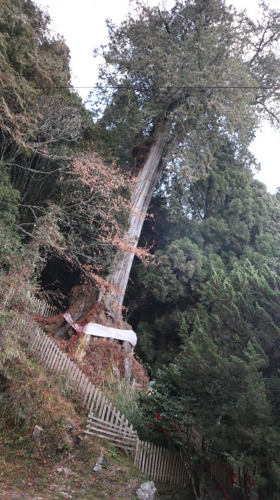 郡大山登山健行趣(百岳54號)_2018717
