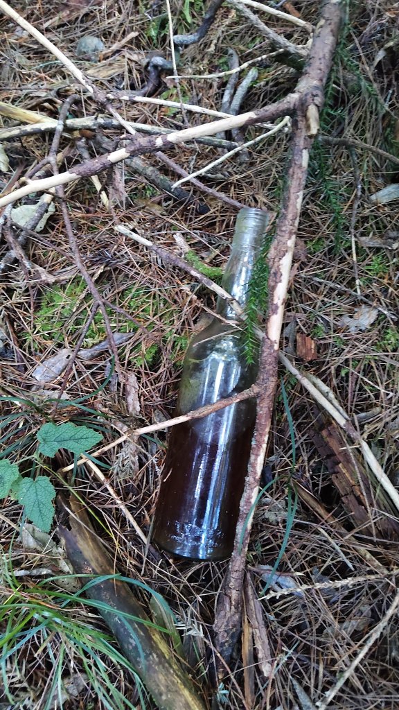 觀雪縱走_2918132