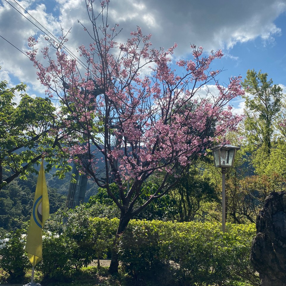 貓空_1305331