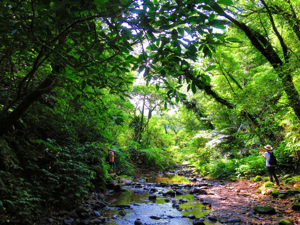 夏季清涼步道 三貂嶺越嶺猴硐古道封面圖