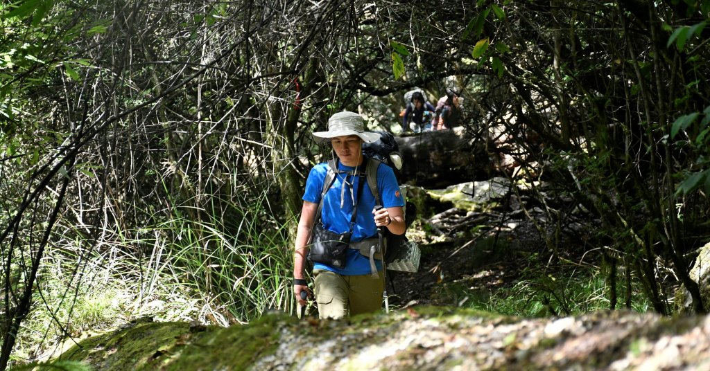 合歡越畢北——兩倍折磨一趟滿足！_1456199