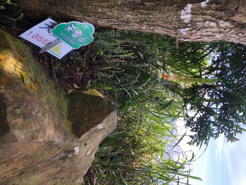 大湖尖山、天雲山，文峰山O型縱走_1740186