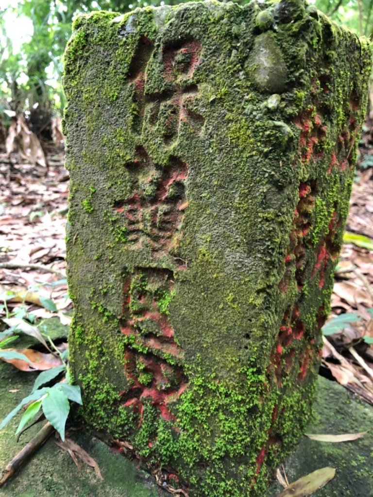 嘉義連峰獨立山大巃頂紅楠坑觀音石阿拔泉_633331
