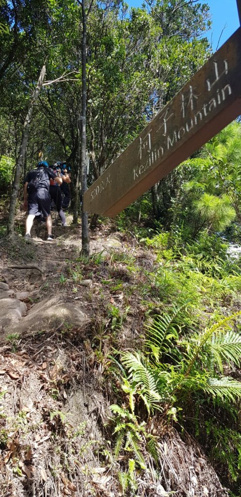 汐止-如意湖_柯子林山_642877