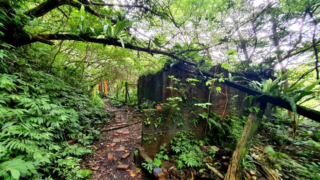 北投大砲岩，石壇山，三芝大屯溪古道，三板橋，三峽白雞山，雞罩山，石門內尖山，中和外員山，中坑山東北峰_1738252