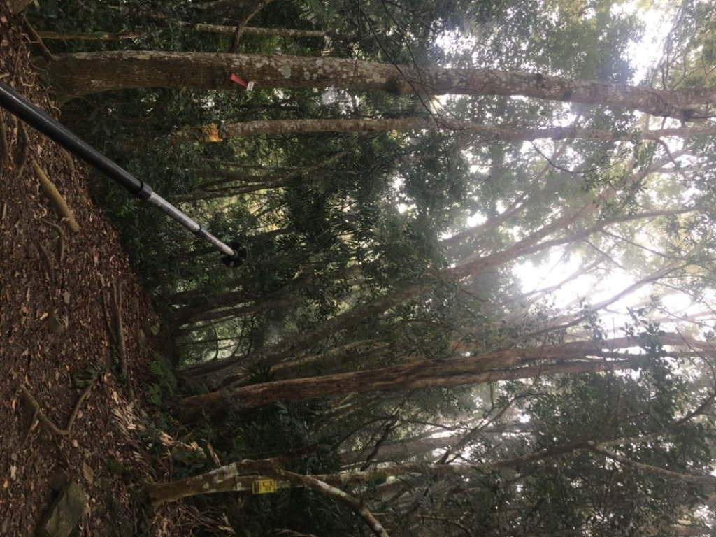 上島山（鳥嘴山_2650166