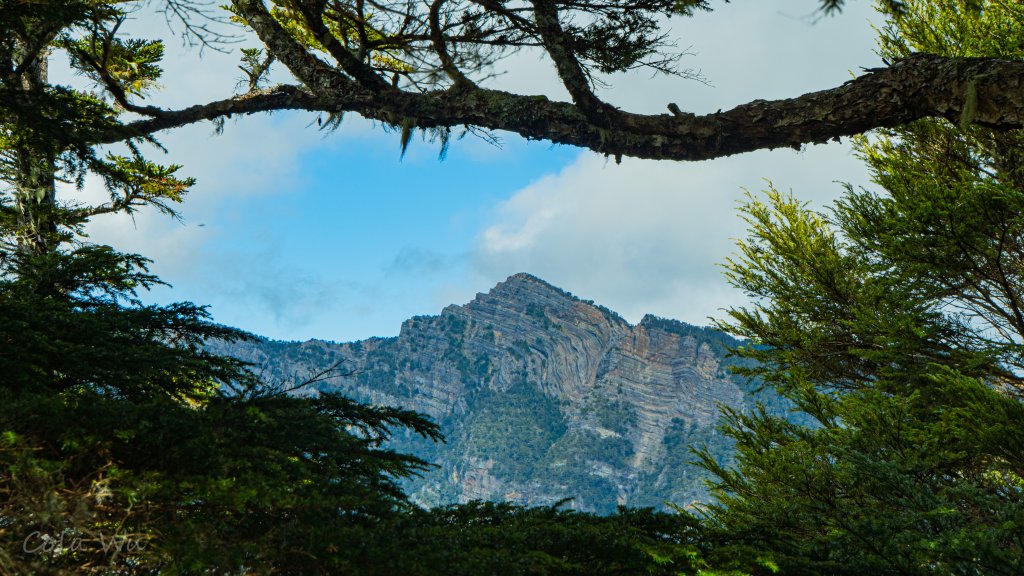 雪山東峰壯麗的山景&動植物封面圖