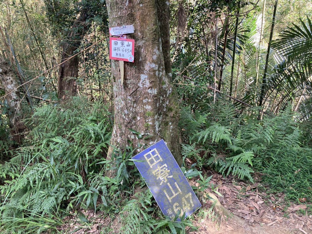 大山背麒麟步道_2538799