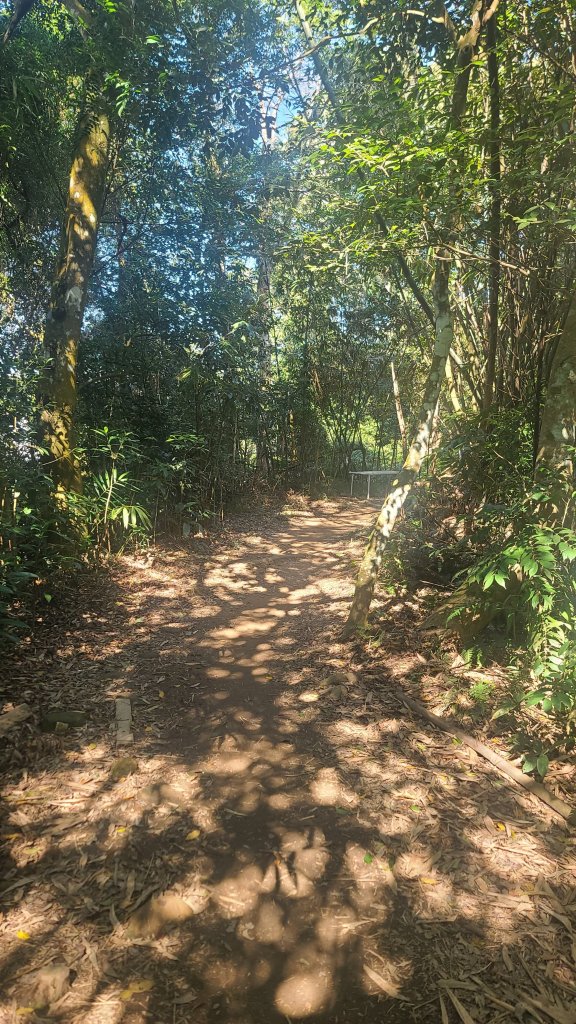 2026-0114溪州山小百岳_2984891