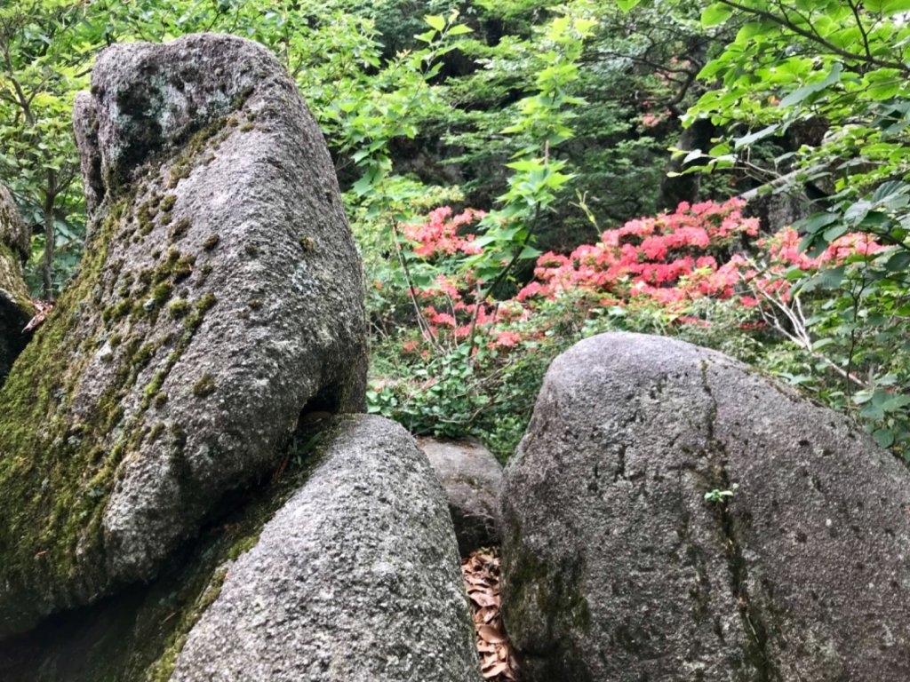 福岡-寶滿山封面圖